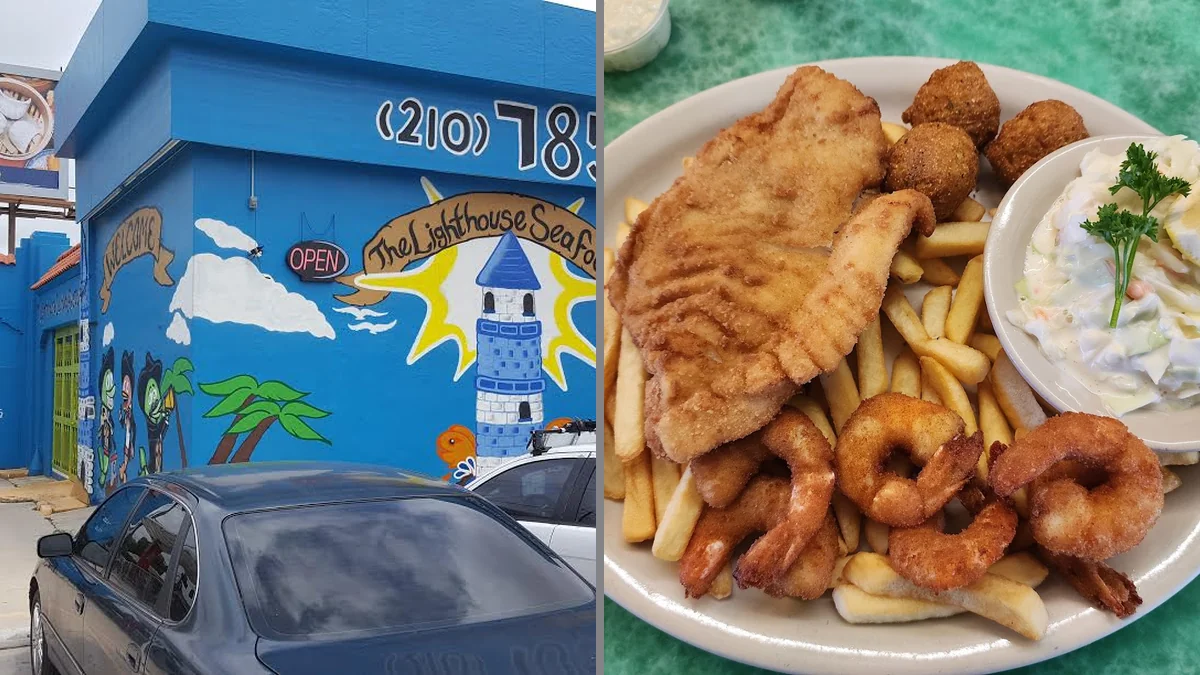 Seafood plates under ocean mural walls.